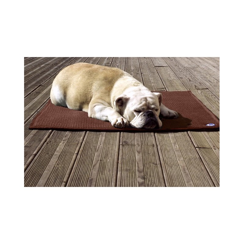 Tapis Chaud D'hiver Pour Animaux De Compagnie, Tapis De Sol Pour Nid De  Chien, Tapis De Sol Épais Pour Chiens De Grande, Moyenne Et Petite Taille -  Temu France