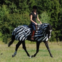 Couvre reins anti-mouches zebra Bucas 560
