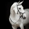 BRIDON MICKLEM STANDARD RAMBO HORSEWARE