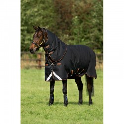 Couverture outdoor Amigo bravo-12 plus medium 250g Horseware