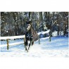 Couverture outdoor   amigo bravo-12 wug 250g/1/2 cou  horseware