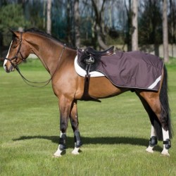 Couvre reins Amigo competition Horseware