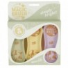 Kit 3 brosses Magicbrush classic (robe-crins-sabots)
