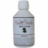 Mud lotion gale de boue 250 ml Vital Herbs