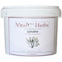 Spiruline Granulés état général 