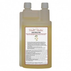 Electrolytes liquides cheval 1L Vital Herbs