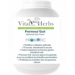 Permea gut  optimal probiotic