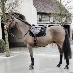 Tapis velvet Kentucky - Mon Cheval 