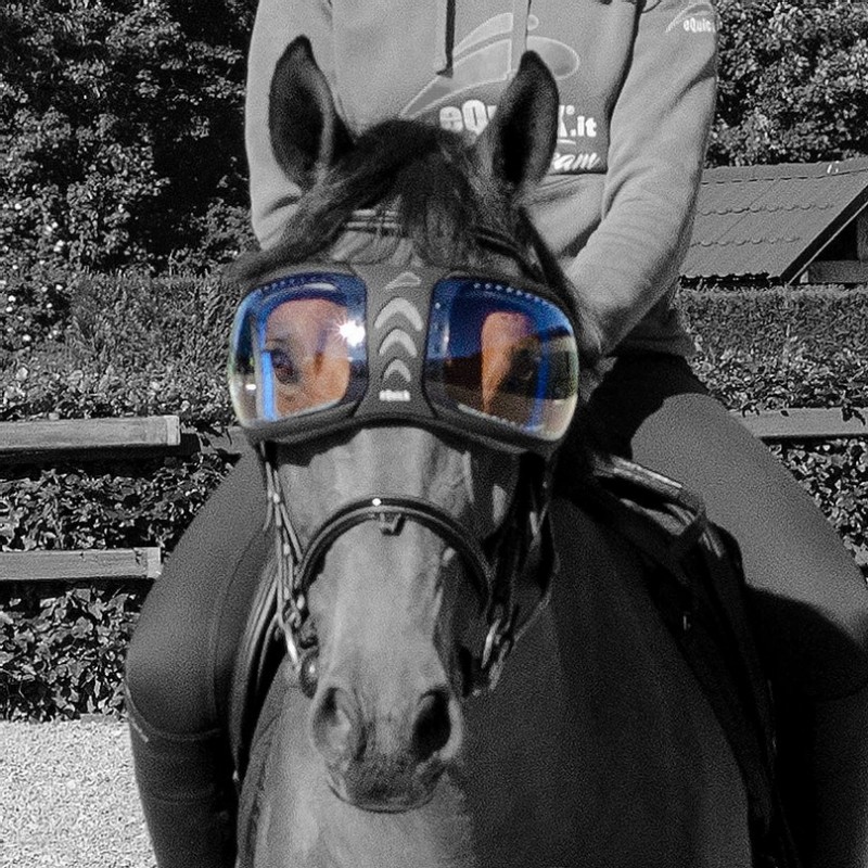 Lentilles de remplacement pour masque lunettes Evysor cheval eQuick - Mon Cheval