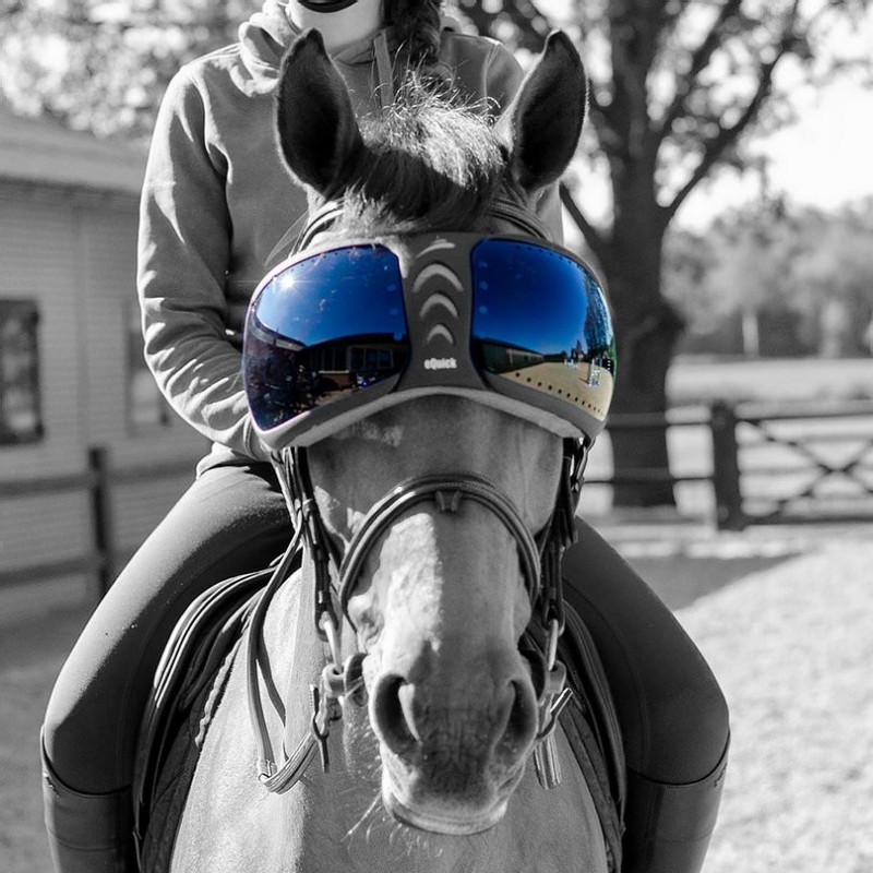 Lentilles de remplacement pour masque lunettes Evysor cheval eQuick - Mon Cheval