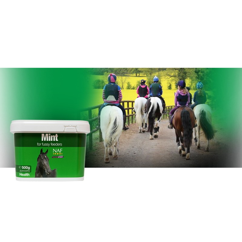 Menthe cheval appétence et digestion Naf Menthe cheval appétence et digestion Naf