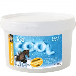 Ice cool argile refroidissante Naf