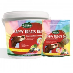 Happy treats duo Ravene