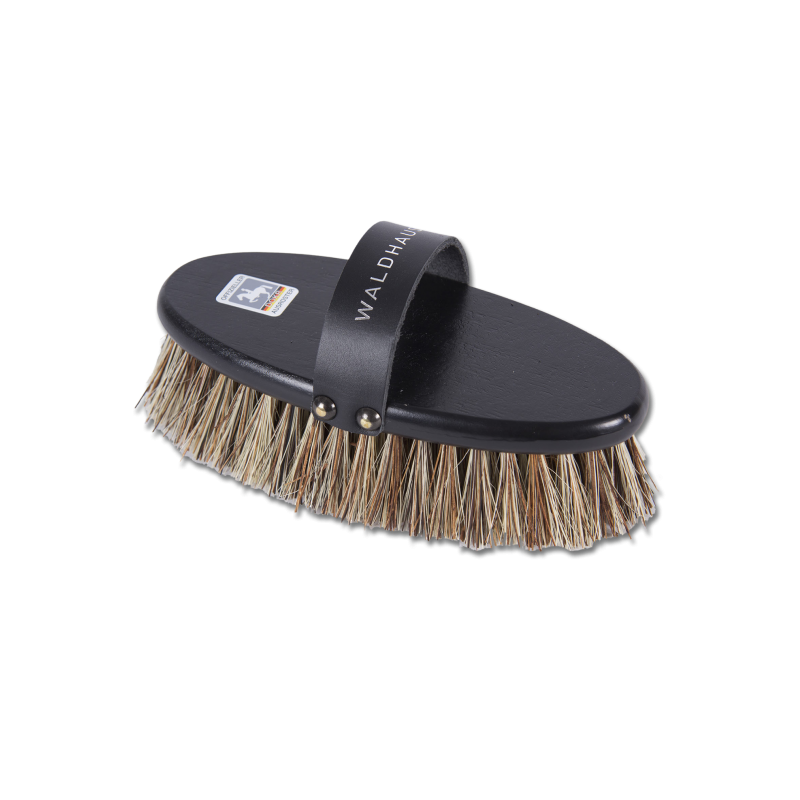 Brosse chiendent DOKR face extérieure Brosse chiendent DOKR face extérieure