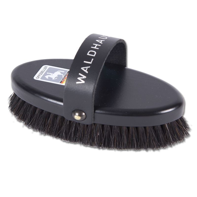 Brosse de tête DOKR Brosse de tête pour chevaux DOKR Waldhausen face extérieure Brosse de tête DOKR Brosse de tête pour chevaux DOKR Waldhausen face extérieure