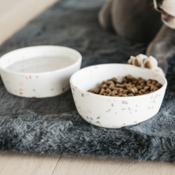 Gamelle chien Kentucky Bambou TERRAZO - Kentucky Dogwear