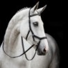 BRIDON  MICKLEM  DIAMANTE RAMBO HORSEWARE