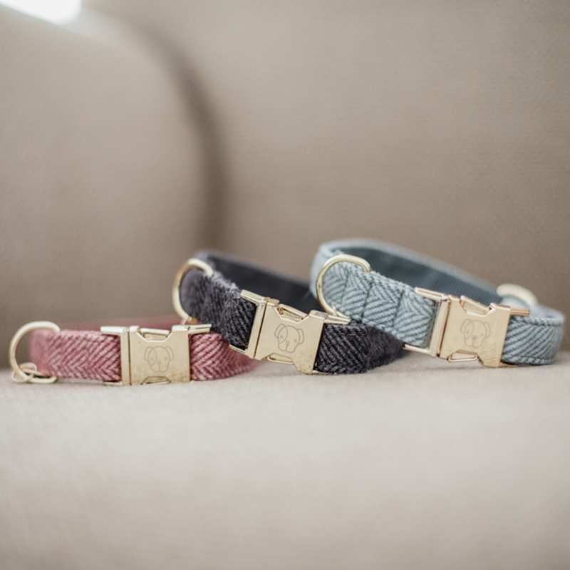 Collier pour chien Kentucky wool Collier pour chien Kentucky wool