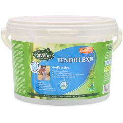 Tendiflex chevaux Ravene