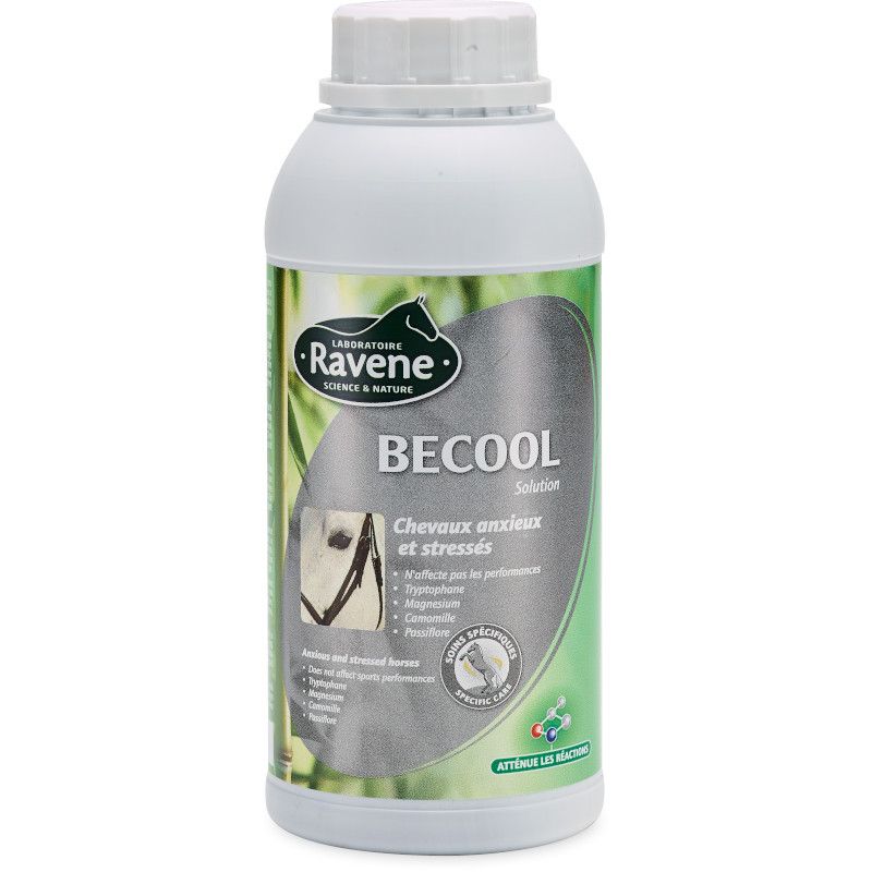 BeCool chevaux Ravene