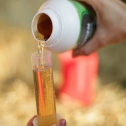Oxxygen sirop chevaux Ravene