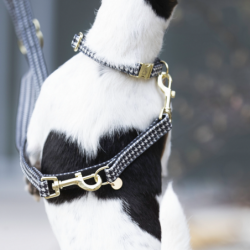 Laisse pour chien Kentucky pied de poule