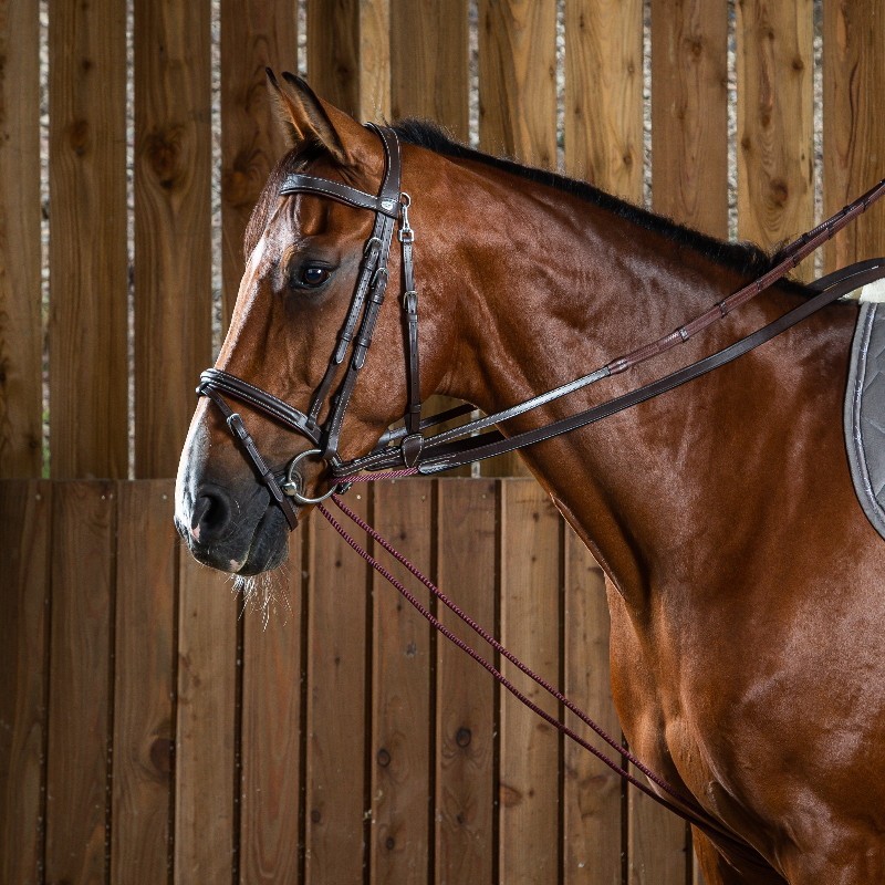 Rênes allemandes cheval Dyon cuir nylon Working Collection Rênes allemandes cheval Dyon cuir nylon Working Collection