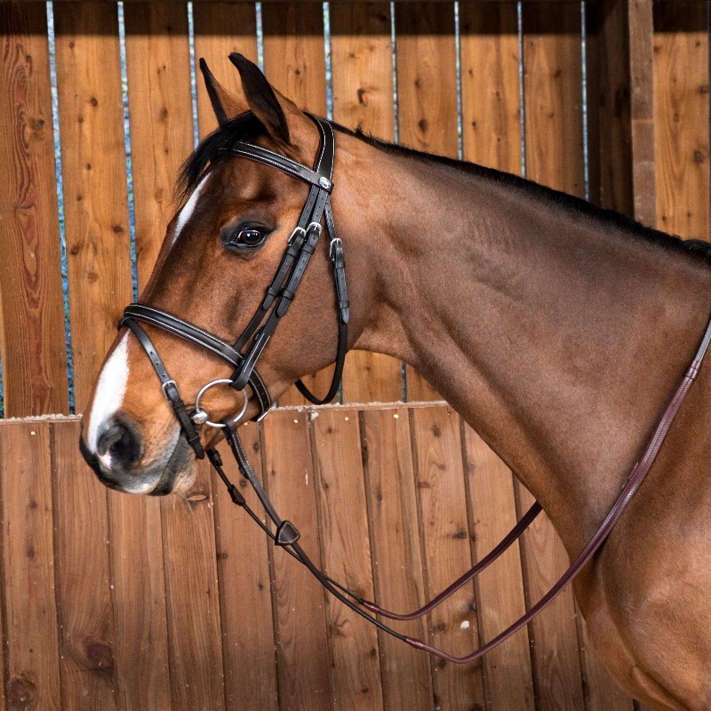 Filet Dyon Classique muserolle combinée Working Collection Filet Dyon Classique muserolle combinée Working Collection