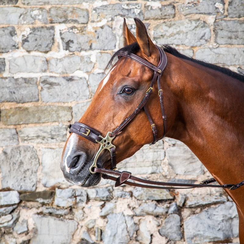 Filet pour Hackamore Dyon D-Collection Filet pour Hackamore Dyon D-Collection