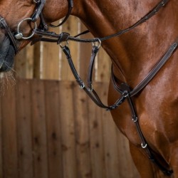 Fourche de martingale cheval Dyon Working Collection