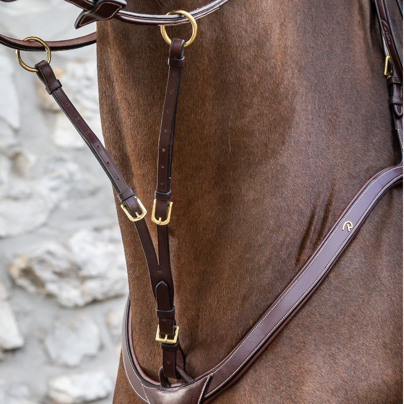 Fourchette de martingale à anneaux cheval Dyon D-Collection Fourchette de martingale à anneaux cheval Dyon D-Collection