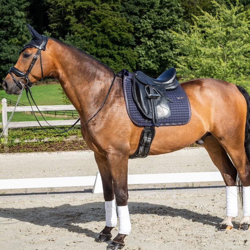 Tapis cheval Dyon Dressage Classique - DYON - Tapis de selle - mon