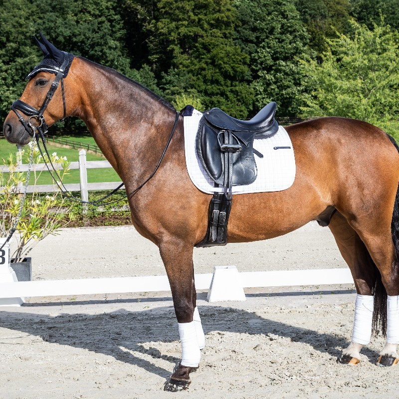 Tapis de selle Dressage et CSO Antarès - Tapis cheval - Le Paturon