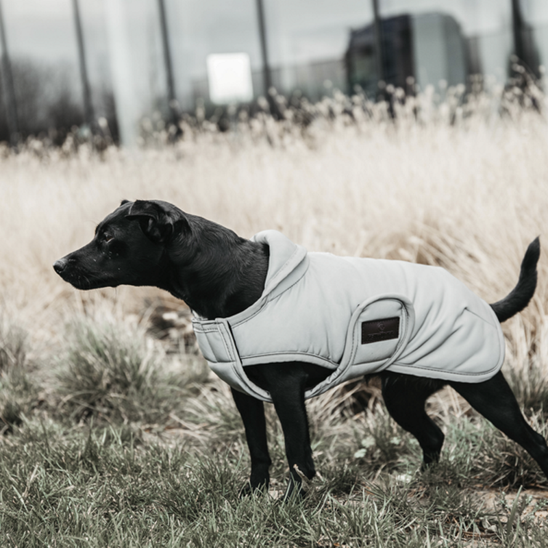 Manteau chien réfléchissant et imperméable 