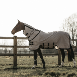 Chemise anti-mouche cheval...