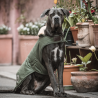 Manteau chien imperméable réfléchissant - Kentucky