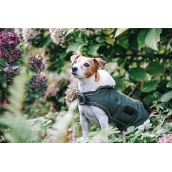 Manteau chien imperméable réfléchissant - Kentucky