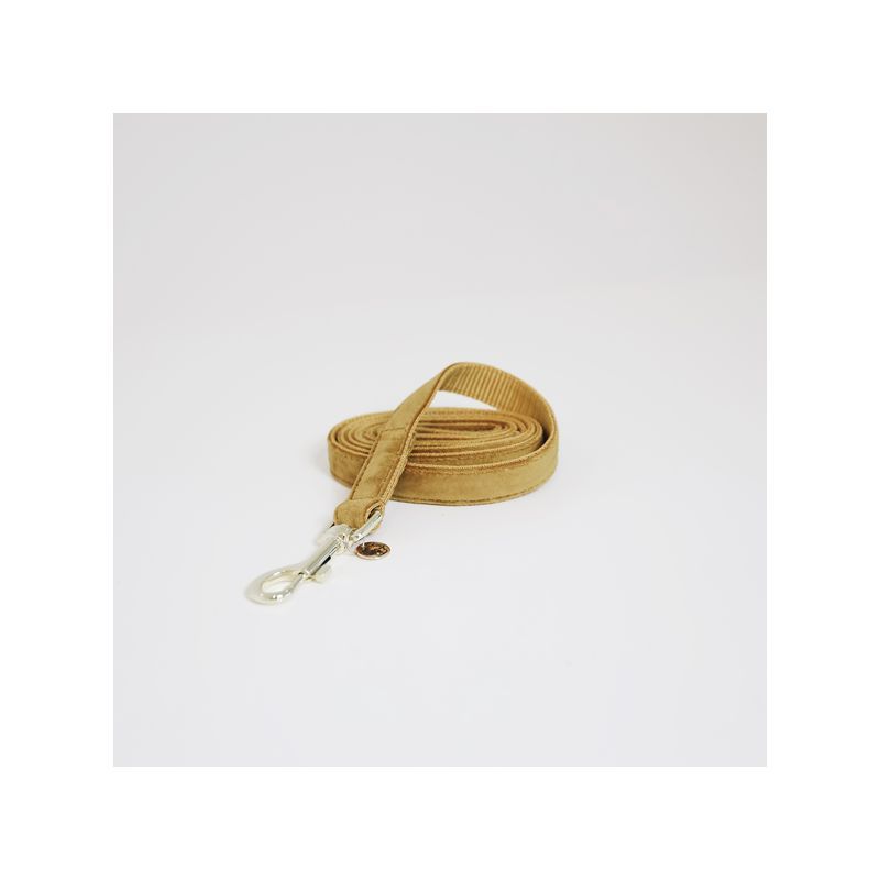 Laisse chien velvet fashion kentucky 42539 Laisse chien velvet fashion kentucky 42539