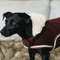 Heavy Fleece manteau polaire chien Kentucky