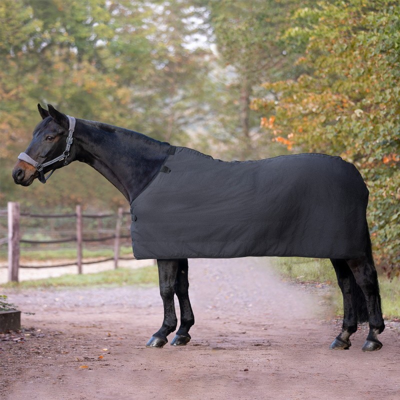 Sous couverture economique polaire Waldhausen