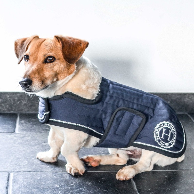 Couverture Chien Harcour Winter 21 Couverture Chien Harcour Winter 21