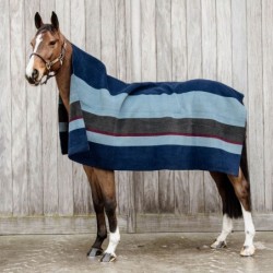 Chemise sèchante Heavy stripes Kentucky horsewear  - Mon Cheval 