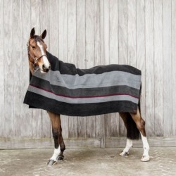 Chemise sèchante Heavy stripes Kentucky horsewear  - Mon Cheval 