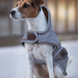 Manteau pour chien réfléchissant imperméable mi-saison Kentucky 