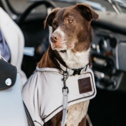 Manteau pour chien réfléchissant imperméable mi-saison Kentucky 