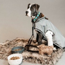 Manteau pour chien réfléchissant imperméable mi-saison Kentucky 