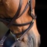 BRIDON Rambo Micklem Multi HORSEWARE