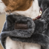 MANTEAU CHIEN FOURRURE  KENTUCKY 52122