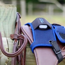 Ceefit pulse et ECG boitier récolteur de données Seaver