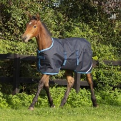 Couverture amigo Foal 200g Horseware